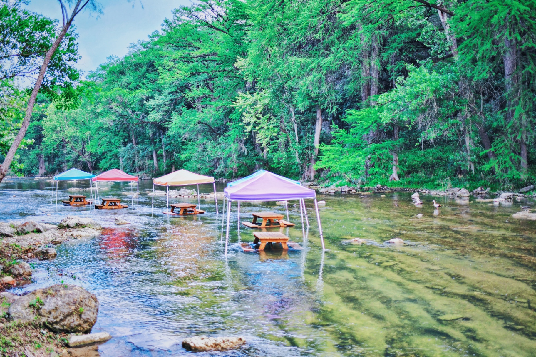 Colorful canopies over picnic tables in the river