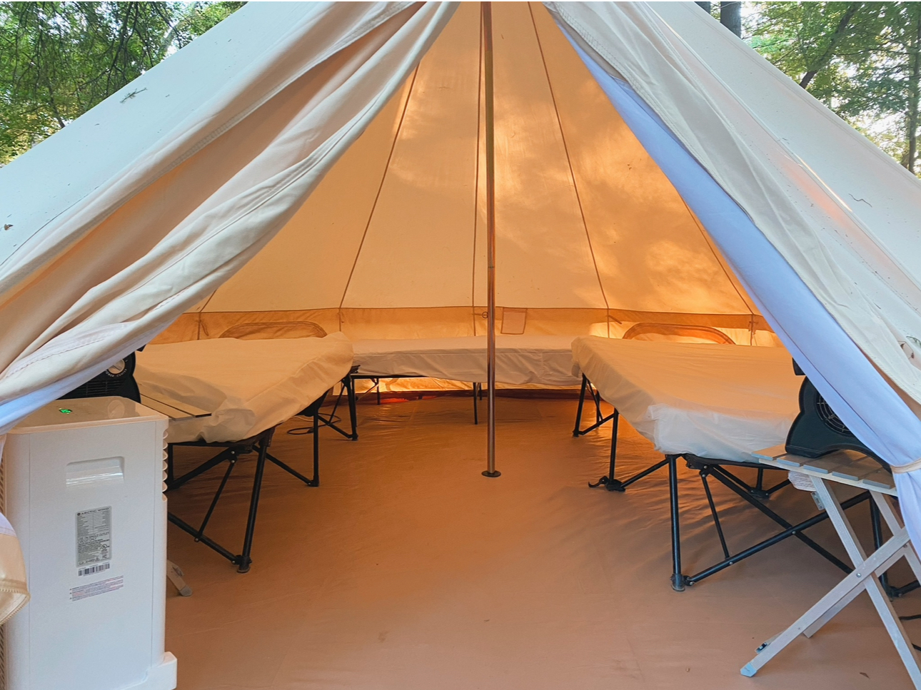 Queen Foam Mattresses